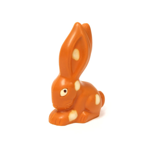 The beautiful RESI - chocolate bunny in a gift box