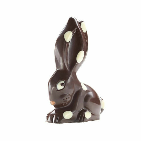 The daring TONI - chocolate bunny in a gift box
